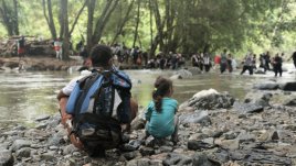 Según las cifras del gobierno panameño, durante 2023 cruzaron más de 520.000 migrantes el Tapón del Darién. / Foto: Colprensa